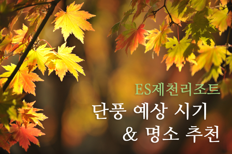 타이틀.jpg