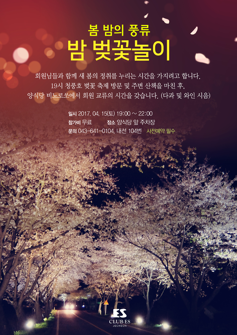 밤벚꽃놀이.png